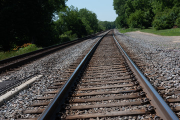 Fototapeta na wymiar railroad tracks in the forest