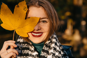 Stylish autumn portrait woman hides her face yellow maple leaves
