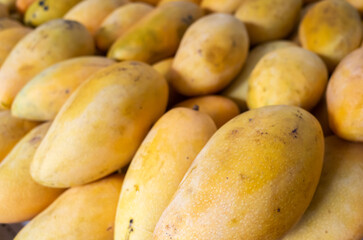yellow stacks of mango fruits