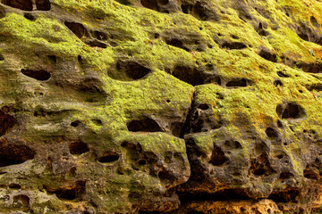 Old stone covered with moss in potholes and caverns. Weathering