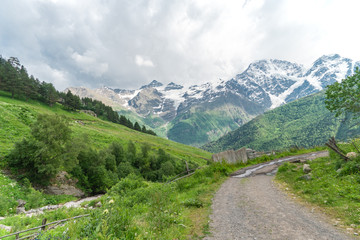 Mountain valley with footpath and glacier on background. Beautiful travel landscape