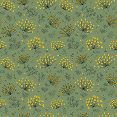 Fennel flowers and seeds pale green
