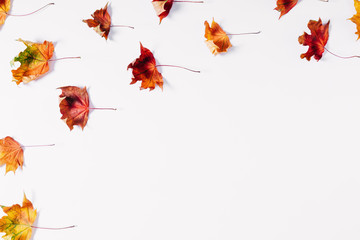 Autumn creative composition. Dried  leaves on white background. Fall concept. Autumn background. Flat lay, top view, copy space