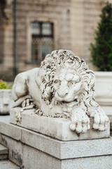 Fototapeta premium sculpture of a lion in a reclining position made of stone at the entrance to the castle