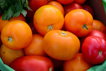 Red and orange tomatoes background