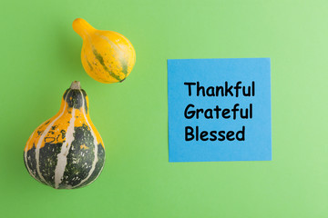Thankful Grateful Blessed