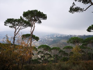 Lebanese countryside