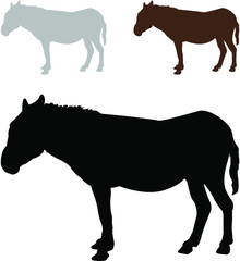silhouettes of donkey