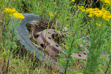 Old industrial wheel in  overgrown grass