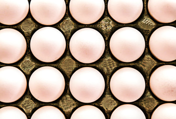 close up of eggs