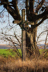 Ancient wooden cross under a tree by the road