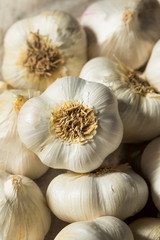 Raw White Organic Garlic Bulbs