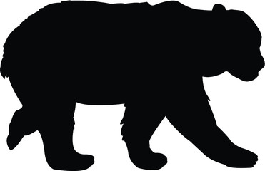 black silhouette of a bear