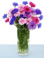 Naklejka na ściany i meble pink,blue,white,purple flowers of cornflowers close up