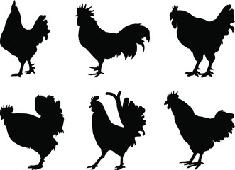 vector silhouettes of rooster