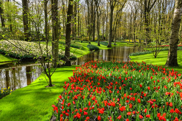 Spring Park with blooming daffodils and tulips