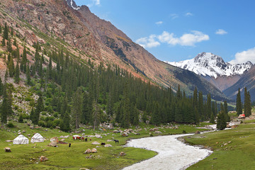Mountains in the Barskaun Gorge near the Issyk Kul Lake, Kyrgyzstan