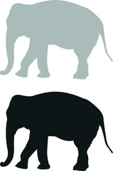 elephant vector illustration