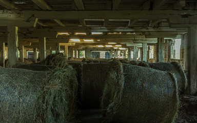 Silage food for animals, old farm room