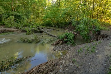 Obraz premium Juhyne river after high water. 