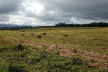 Landscape with many hay rolls on rural filed in the cloudy weather on last summer days horizontal view © DyMaxFoto