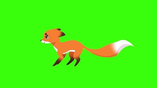 2d animation of cute red fox running on green chroma key background