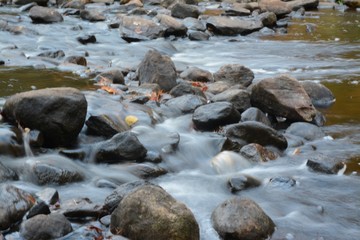 Water Flowing Over Rocks in Autumn with Leaves in Water