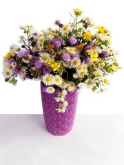 multicolor flowers of wild plants from meadow close up