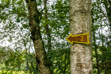 Nature reserve Wilhelmsdorf Pfrunger Ried in Upper Swabia