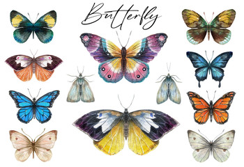 Obraz na płótnie Canvas Collection of watercolor butterflies and moths in a realistic style. Butterfly clip art for wedding invitation or greeting cards isolated on white background.