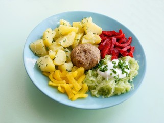 meat cutlet with vegetables for lunch