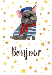 Card with golden stars and watercolor gray french bulldog wear in a frock with a red scarf and blue barret on white background. Bonjour postcard © Fefelova Yana