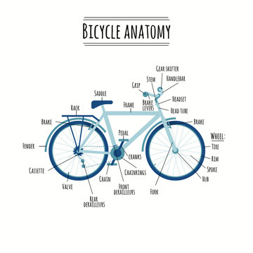 bicycle anatomy