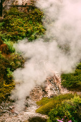 Rising steam and rocky cliffs in Wairakei Thermal Valley