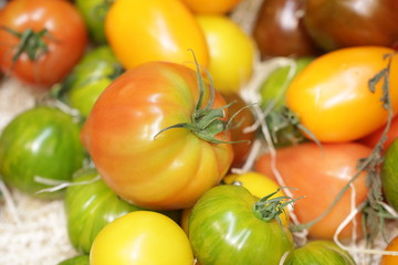 Tomates