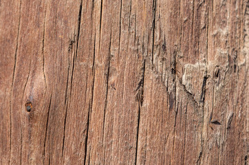 The texture of the old board close up. background. Copy space.