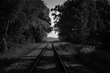 railroad tracks among the forest with smoke