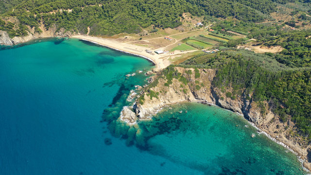 Aerial drone photo of paradise emerald and turquoise sandy beach of Aselinos covered in pine trees in island of Skiathos, Sporades, Greece