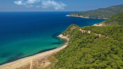 Naklejka premium Aerial drone photo of paradise emerald and turquoise sandy beach of Aselinos covered in pine trees in island of Skiathos, Sporades, Greece