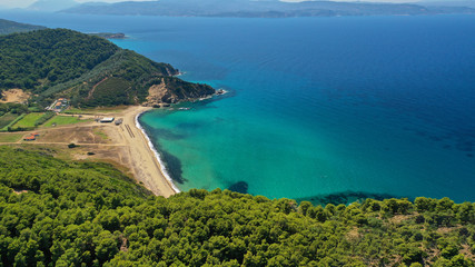 Aerial drone photo of paradise emerald and turquoise sandy beach of Aselinos covered in pine trees in island of Skiathos, Sporades, Greece