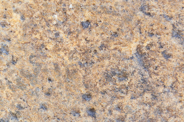 Rustic stone background. Front view. Close up.	