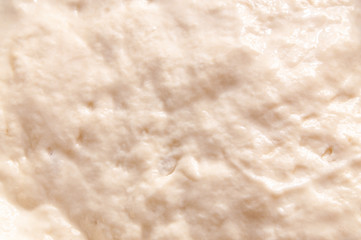 texture of fresh dough.