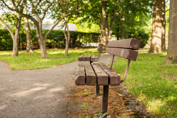 Old wooden benches in the local park on a beautiful sunny summer day