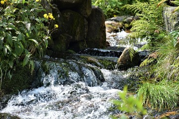 Górska rzeka  © merko