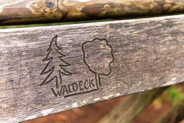 Nature reserve Wilhelmsdorf Pfrunger Ried in Upper Swabia