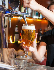 Beer is pouring from the tap into the glass. In the bar .