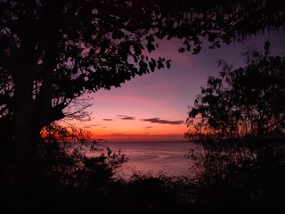 Fototapeta na wymiar the sun before nightfall with the shadow of a black tree. Sunset sky background. beautiful natural scenery