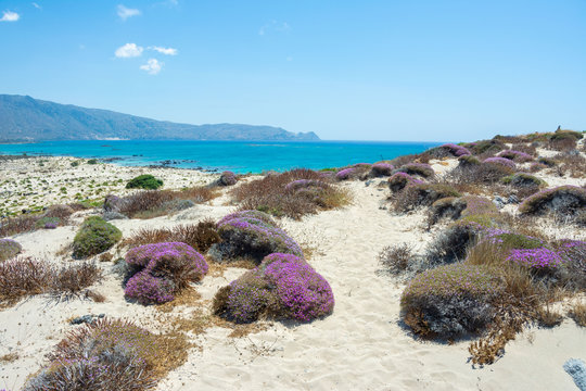 Elafonisi Strand in Kreta