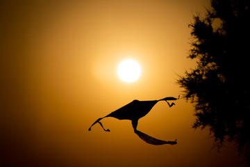 Silhouette of a kite in the sky at orange sunset in summer.