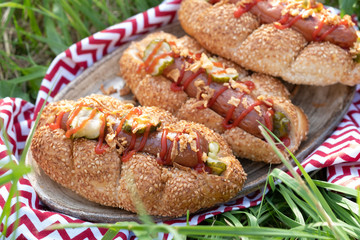 Hot dogs with crispy onions and pickled cucumbers outdoor